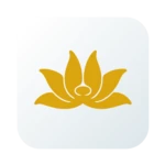 vietnam airlines android application logo